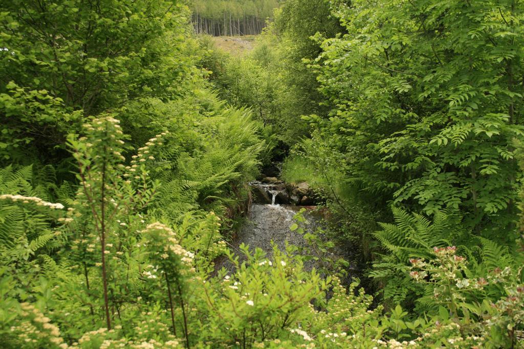 Appartamento Balquhidder Braes Lodges, Mostly With Hot Tubs And Pet Friendly, Ev Facilities