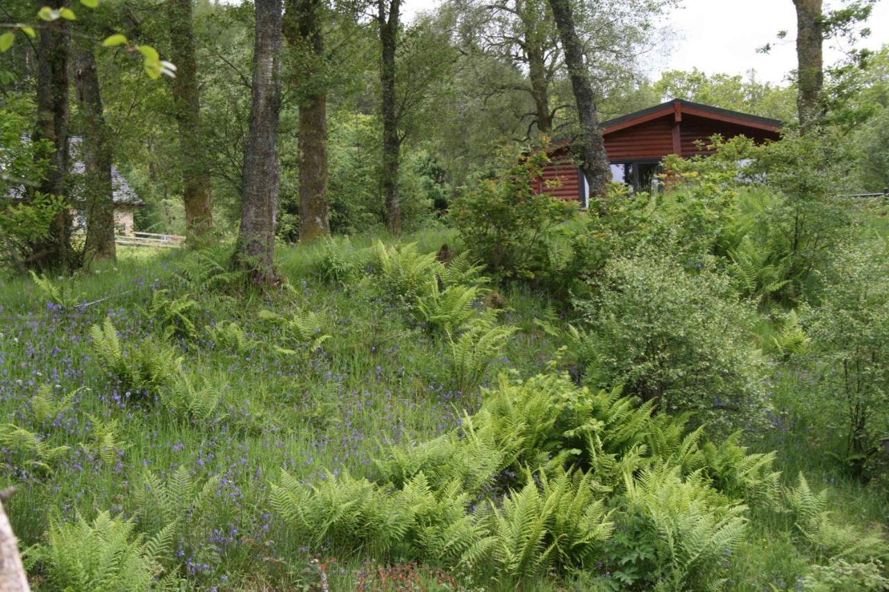 Appartamento Balquhidder Braes Lodges, Mostly With Hot Tubs And Pet Friendly, Ev Facilities Lochearnhead
